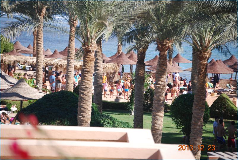 sharm 12 057